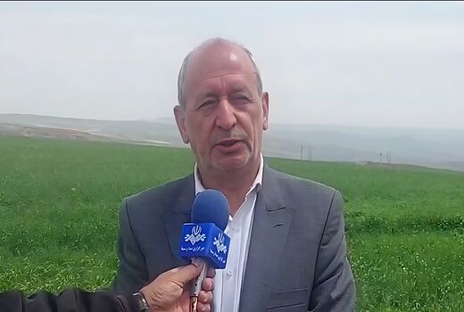 پیش‌بینی خرید ۵۰۰ هزار تن گندم در آذربایجان شرقی 
