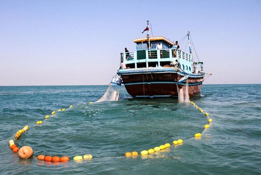 ناوگان صیادی ایران در رتبه دوم اقیانوس هند