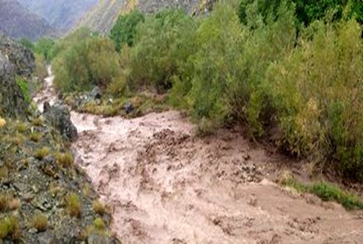 سیل و تکرگ بیش از 581 میلیارد  ریال به بخش کشاورزی خراسان شمالی خسارت زد