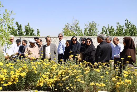 چهارمحال و بختیاری مستعد ایجاد شهرک‌های تخصصی گیاهان دارویی است