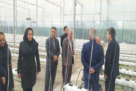 بهره‌برداری از گلخانه شیشه‌ای و تمام‌اتوماتیک تولید خیار در شهرستان تبریز