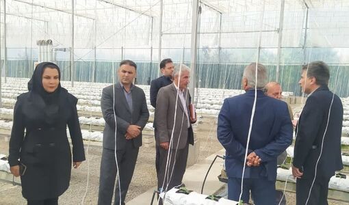 بهره‌برداری از گلخانه شیشه‌ای و تمام‌اتوماتیک تولید خیار در شهرستان تبریز