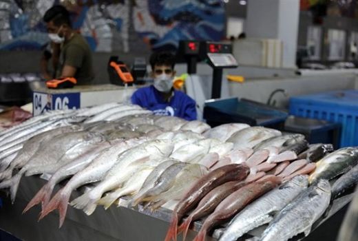 آبزیان کالای مکمل گوشت قرمز و مرغ در سبد خانوارهای کم درآمد