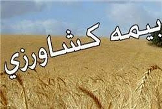 برگزاری کارگاه آموزشی بیمه کشاورزی در استان بوشهر