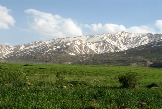 طرح ۵۵۰ هکتاری کشت گیاهان دارویی دشت زرین شهرستان کوهرنگ کلید خورد