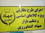 وجود  کالا‌های اساسی از جمله گندم، برنج و شکر در انبارهای استان کرمان 