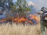 خطر آتش‌سوزی در جنگل‌ها و مراتع با افزایش پوشش گیاهی/ مردم از روشن کردن آتش در عرصه‌های طبیعی خودداری کنند