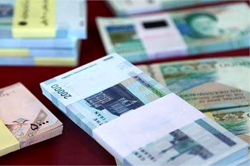 کشاورزان خسارت دیده از سیل تسهیلات دریافت میکنند