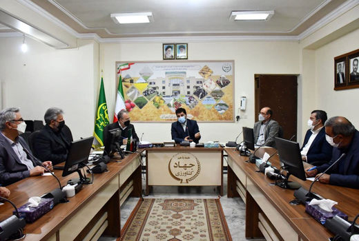 افزایش ذخایر استراتژیک مرغ منجمد به عنوان راهکاری جهت جبران کاهش تولید 