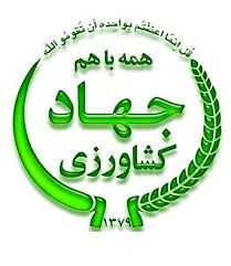 پرداخت 574 میلیارد ریال تسهیلات مکانیزاسیون کشاورزان در استان بوشهر