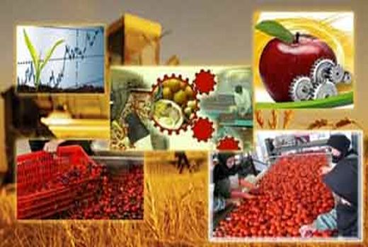 صنایع تبدیلی زمینه اشتغال ۱۱ هزار نفر اصفهانی را فراهم می‌کند