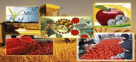 صنایع تبدیلی زمینه اشتغال ۱۱ هزار نفر اصفهانی را فراهم می‌کند