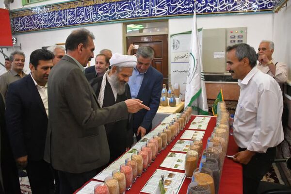 توسعه و تجاری‌سازی ارقام جدید اقدامی راهبردی برای ارتقای تاب‌آوری تولید و تضمین امنیت غذایی 