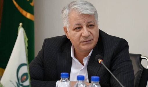 ظرفیت‌های منابع طبیعی ایران آماده تبدیل به همکاری‌های بین‌المللی است