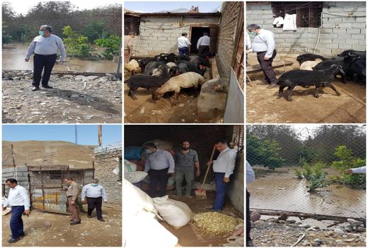 کشاورزان خسارت دیده از سیل، خسارات وارده را به مراکز خدمات و یا مدیریت جهاد کشاورزی شهرستان گزارش کنند