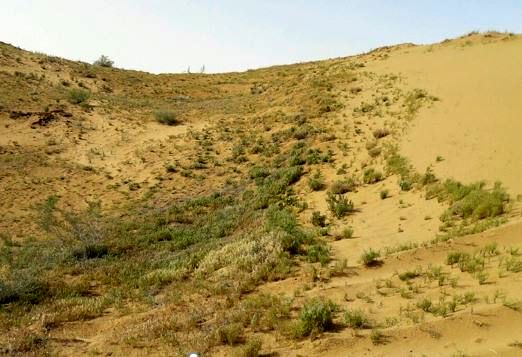 بیابان‌زایی خراسان شمالی رشدی فزاینده دارد