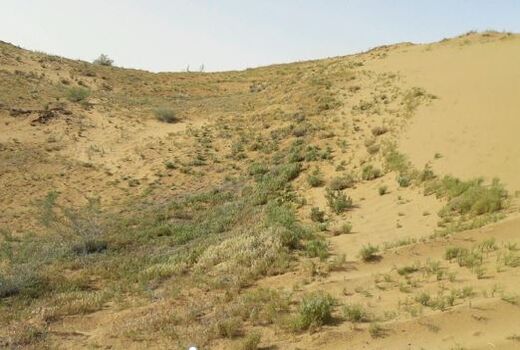 بیابان‌زایی خراسان شمالی رشدی فزاینده دارد