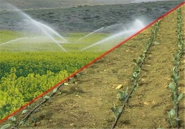 راندمان آبیاری در بخش کشاورزی چهارمحال و بختیاری افزایش یافت