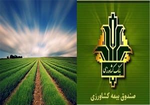 بیش از چهار هزار هکتار از اراضی زراعی مهاباد تحت پوشش بیمه کشاورزی قرار گرفت