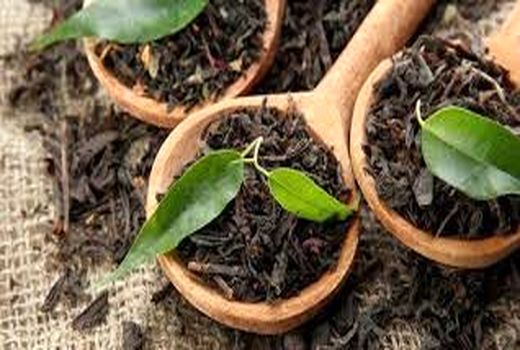 واریز 13 میلیارد تومان از مطالبات چایکاران