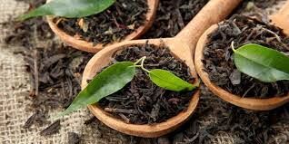 واریز 13 میلیارد تومان از مطالبات چایکاران