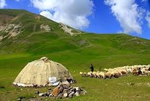 توزیع ۱۶۵ تن نهاده دامی بین عشایر استان گیلان
