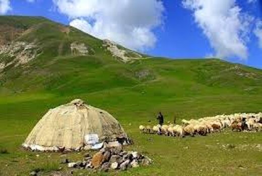 توزیع ۱۶۵ تن نهاده دامی بین عشایر استان گیلان
