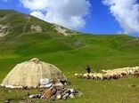 توزیع ۱۶۵ تن نهاده دامی بین عشایر استان گیلان

