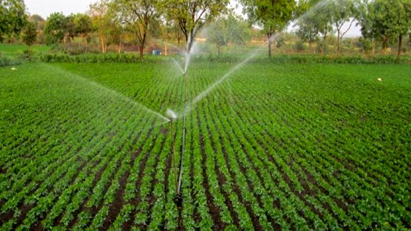 اجرای 1182 هکتار آبیاری نوین در استان تا پایان شهریورماه