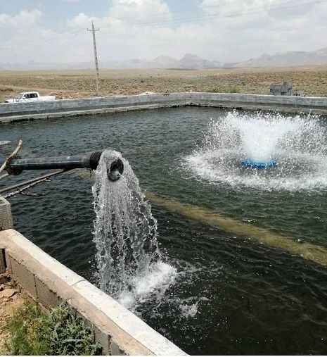 راه اندازی سه واحد پرورش ماهی سردابی در سرچهان