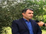 ظهور نخستین خوشه های برنج در گیلان
