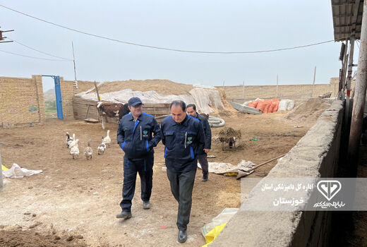 رصد شبانه روزی کارشناسان دامپزشکی خوزستان بر واحدهای پرورش دام
