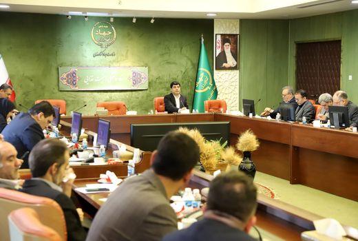 تأمین پروتئین کشور در گرو حمایت از دام سبک/ ساختار تشکلی در تمام زیربخش‌های کشاورزی تقویت شود