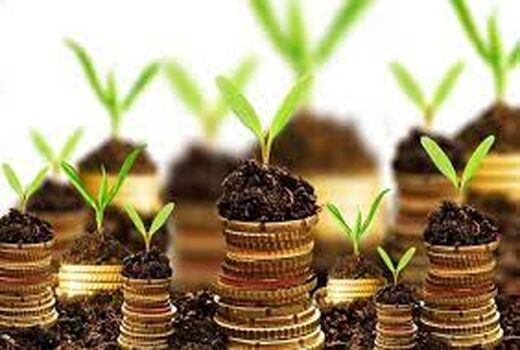 پرداخت ۱۷۱ میلیارد تومان تسهیلات کشاورزی در خراسان جنوبی