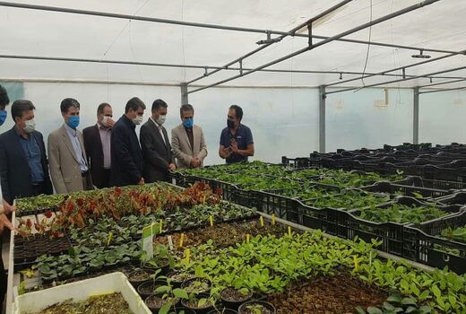 بازدید مشاور وزیر کشاورزی از پروژه‌های جهش تولید در شهرستان‌های شرق استان تهران