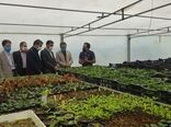 بازدید مشاور وزیر کشاورزی از پروژه‌های جهش تولید در شهرستان‌های شرق استان تهران