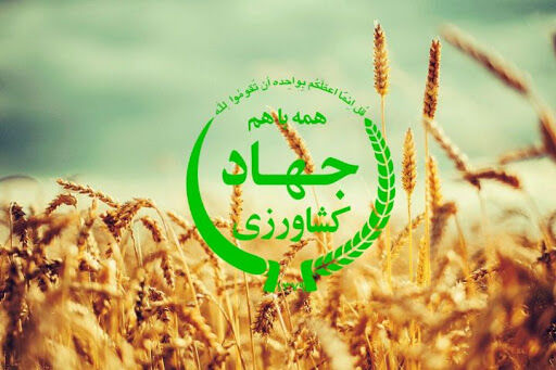 98 درصد اعتبارات بند (خ) ماده 33 استان بوشهر جذب شد