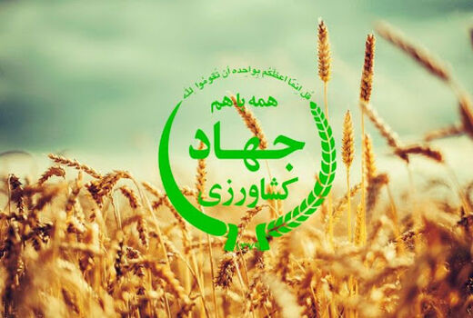 98 درصد اعتبارات بند (خ) ماده 33 استان بوشهر جذب شد