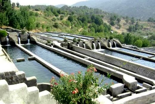لزوم اقدامات علمی و تحقیقاتی در حوزه شیلات چهارمحال