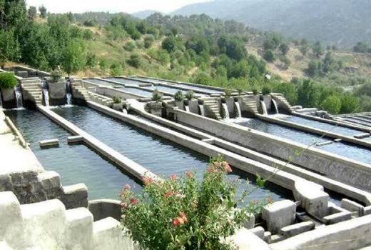 لزوم اقدامات علمی و تحقیقاتی در حوزه شیلات چهارمحال