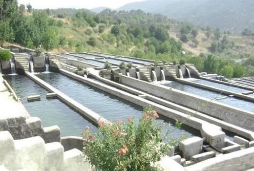 لزوم اقدامات علمی و تحقیقاتی در حوزه شیلات چهارمحال