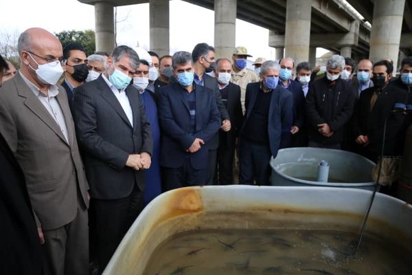 بازدید وزیر جهاد کشاورزی از طرح پرورش ماهیان خاویاری پل رود شهرستان رودسر