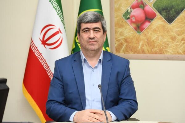 سبوس دامداران روستایی از طریق تعاونی ها به خود دامداران تحویل داده می شود