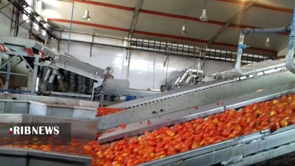 کردستان بهشت کشاورزی ایران زمین/جهش صنایع تبدیلی لازمه صادرات