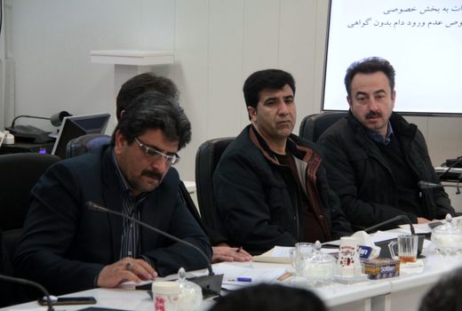 هنوز آفت «مگس مدیترانه‌ای» در باغات لرستان مشاهده نشده است