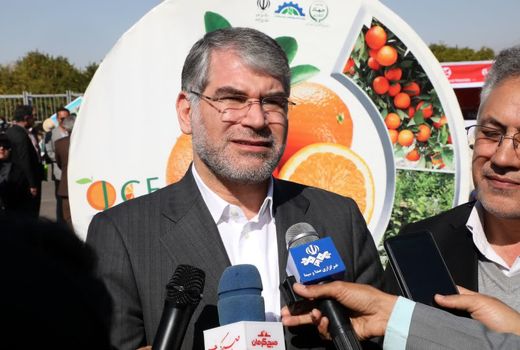 رشد ۱۲۸ درصدی صادرات محصولات کشاورزی در ۱۰ ماه گذشته/ افزایش ۷ درصدی تولید مرکبات در کشور