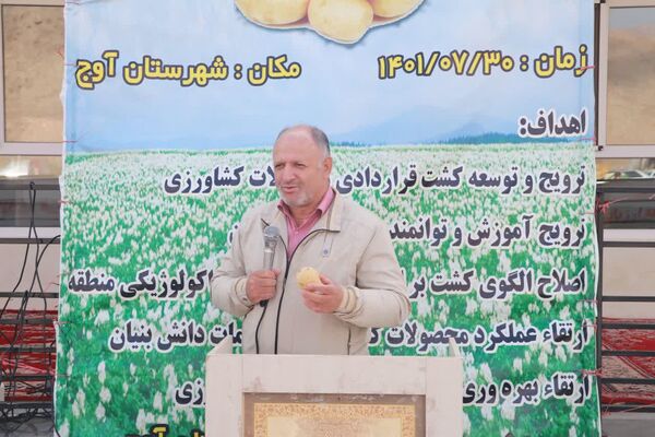 برنامه کشت قراردادی سیب زمینی تا یک‌ هزار هکتار برای استان قزوین