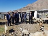 دیدار رییس سازمان امورعشایر کشور با عشایر شهرستان حاجی آباد