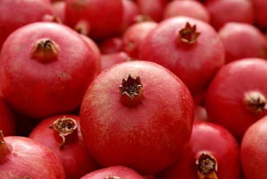 برداشت انار ارسنجان ادامه دارد 