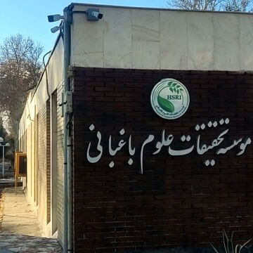نیم‌قرن جهش علمی در باغبانی ایران؛ از باغداری سنتی تا تولید دانش‌بنیان